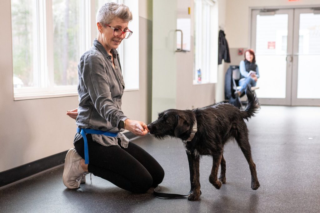 A smiling woman kneeling on the floor, with a medium sized black dog nosing her hand.